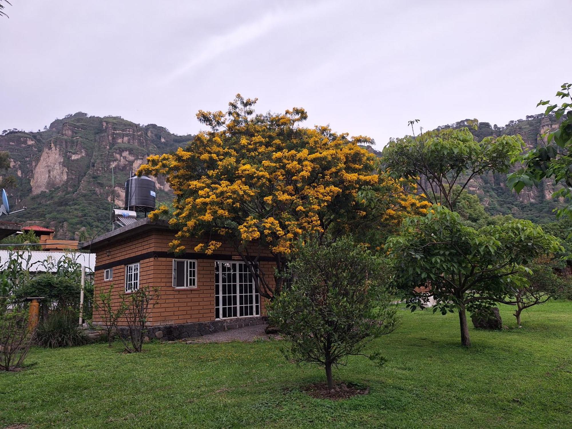 Posada Meztitla Tepoztlán Exterior foto
